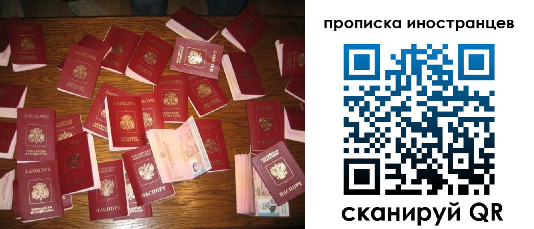 найти адрес прописки в Алексеевке